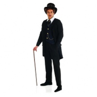 Victorian school teacher clearance costume